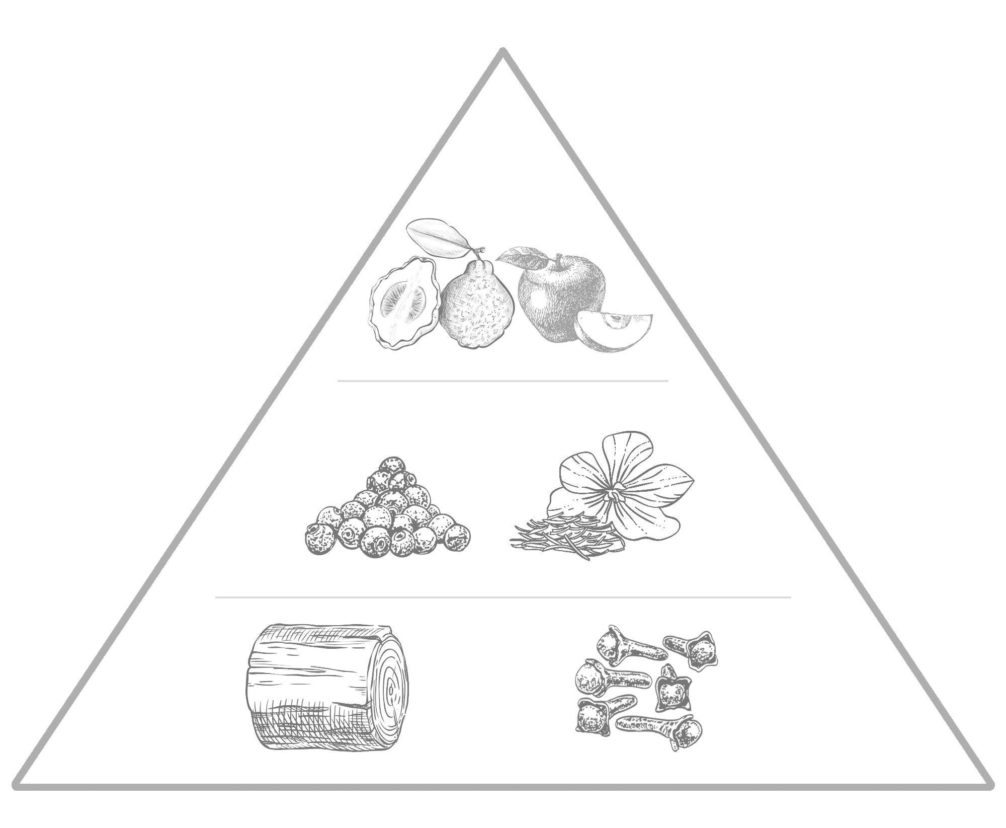 Cavalier by Edenbridge Fragrance Pyramid notes