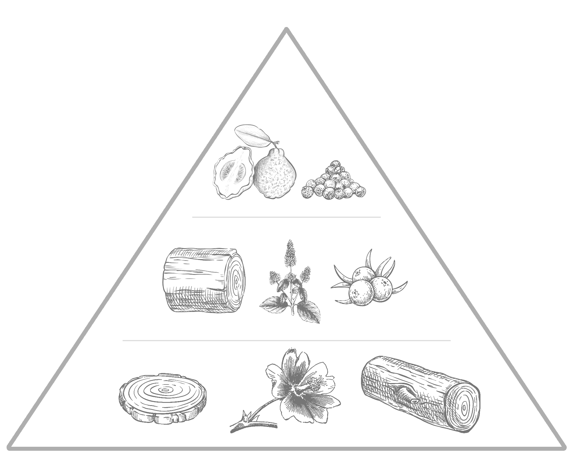 Great Expectations Rochester Fragrance Note Pyramid