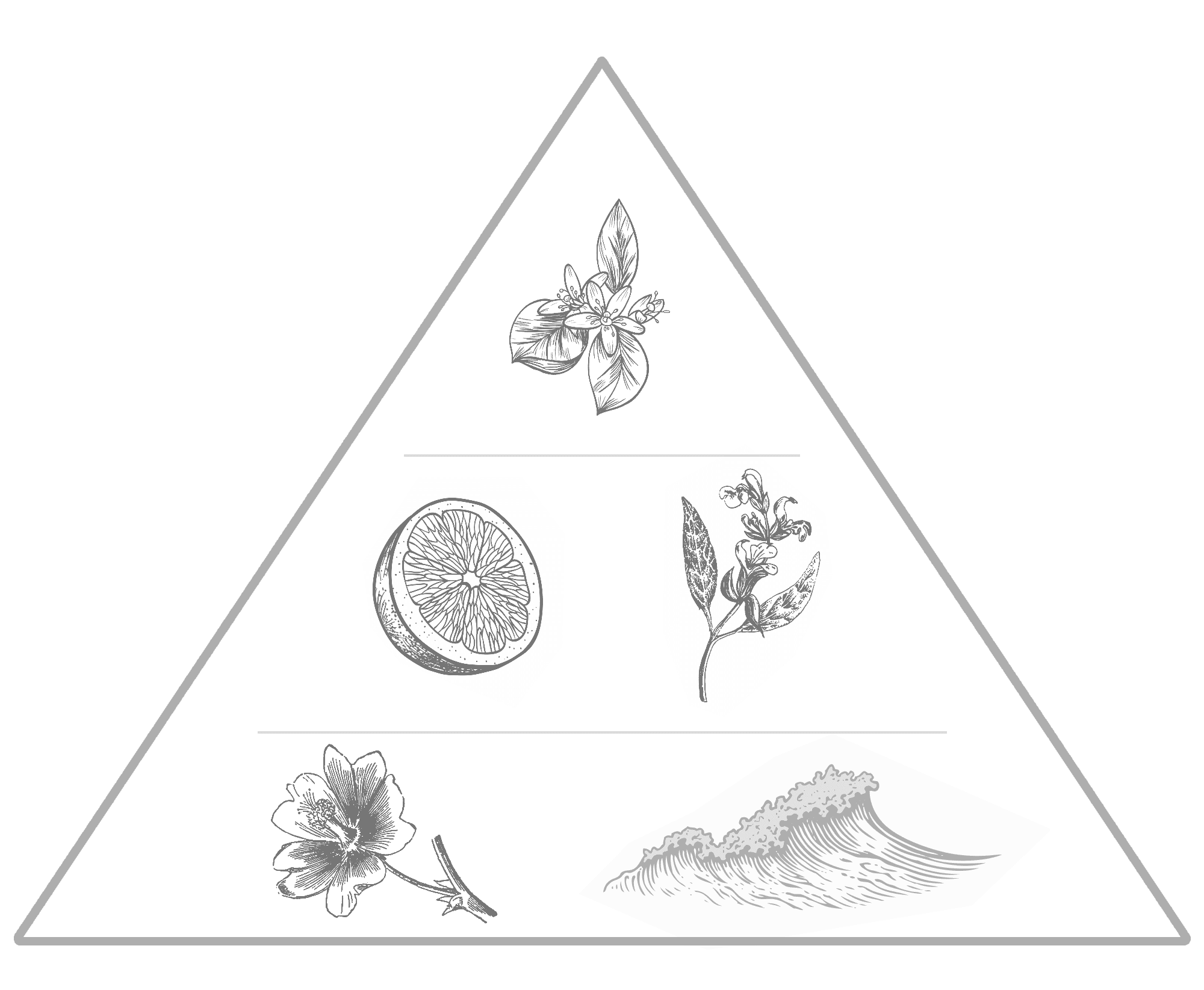 Hamilton Upnor Fragrance Notes Pyramid