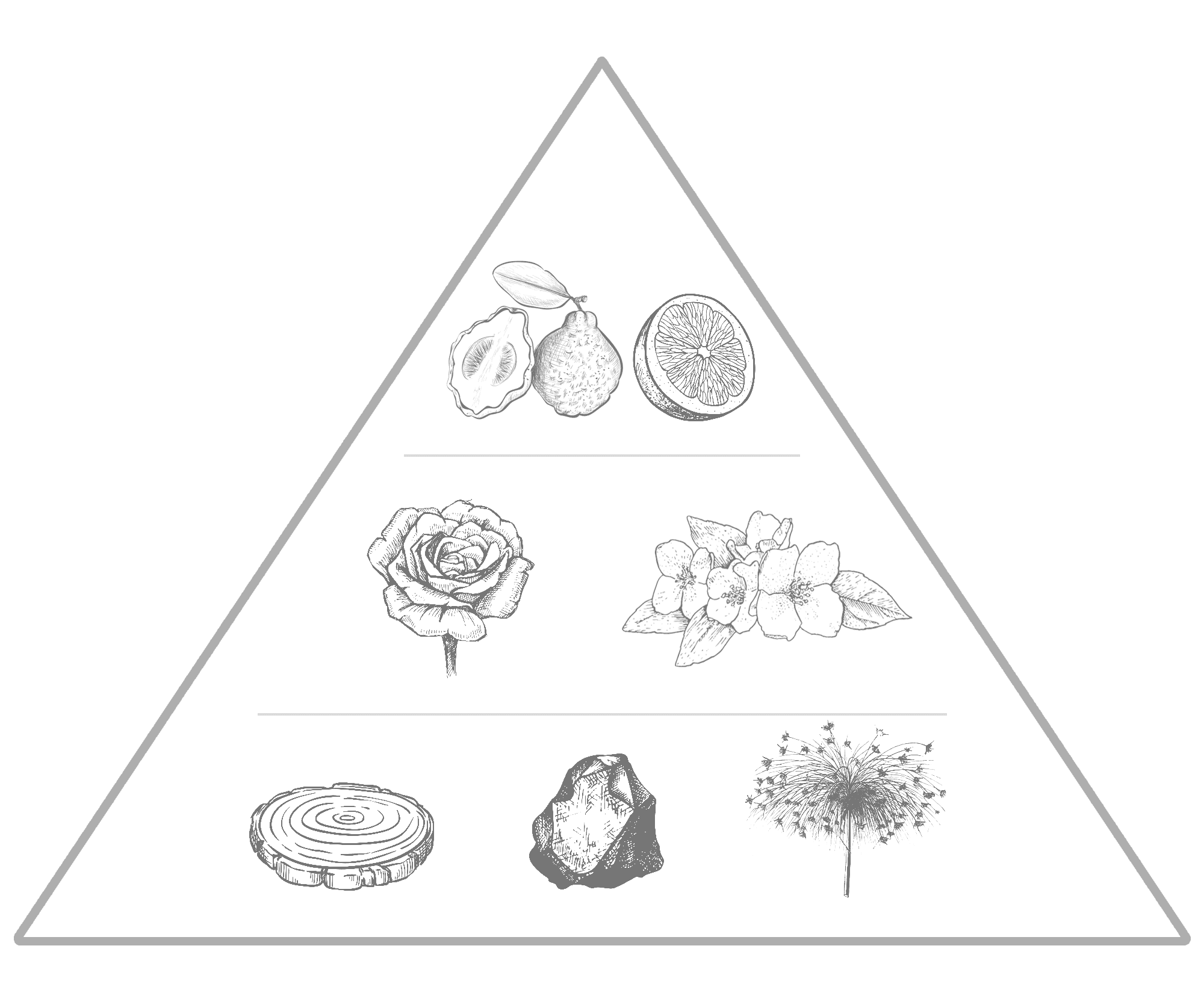 Fragrance notes for Papyrus - inspired by Maidstone - by Edenbridge