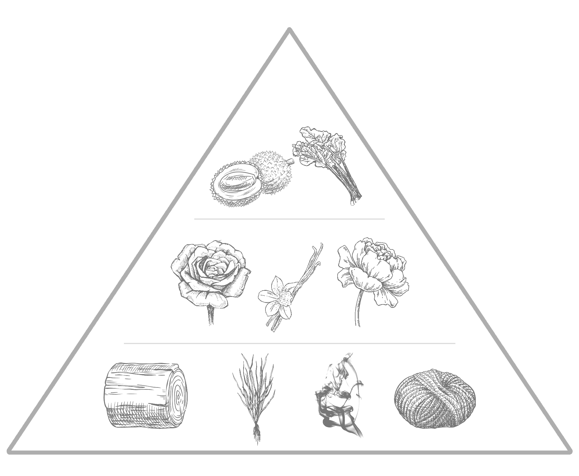 Note Pyramid for Versailles a fragrance by Edenbridge Inspired by Marie Antoinette